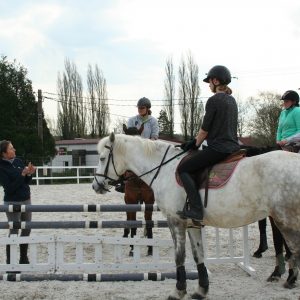 BPJEPS : Activités Equestres Mention Equitation