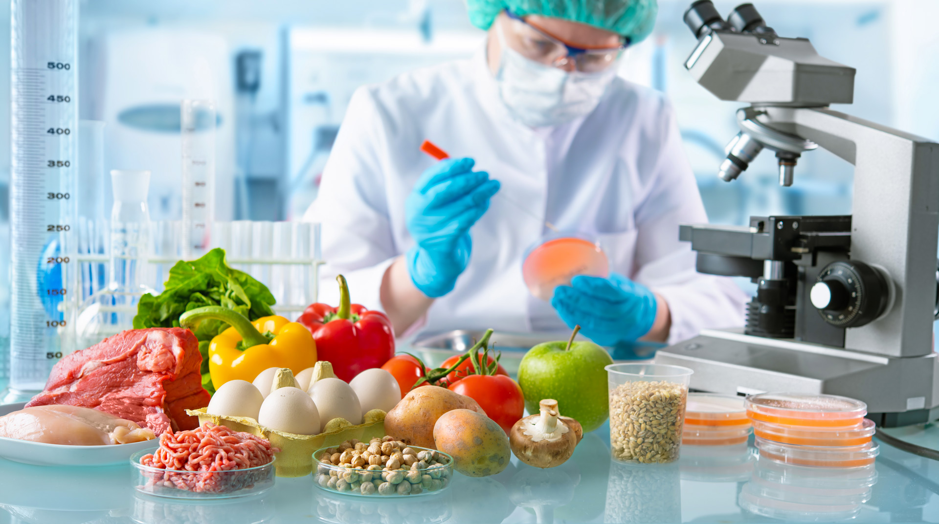 BTS Sciences et Technologies des Aliments Apprentissage
